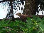IMG 5429