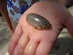 IMG 5392