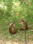IMG 5529