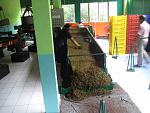IMG 5320
