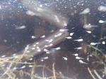IMG 20131001 221449