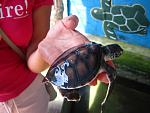 IMG 5618