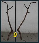 09