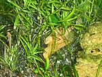DSC00994