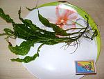 DSC09758