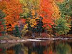 104699877 michigan hiawatha national forest 1600