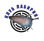 ������� ��������