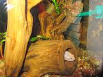 IMG 4506  