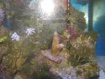 IMG 0294