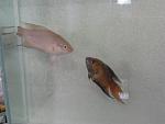 2013 07 11 17.14.27