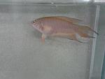2013 07 11 17.12.59