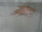2013 07 11 17.12.03