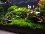 DSC05094
