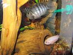 IMG 4507
