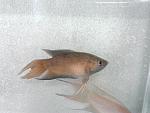 2013 07 11 17.17.22