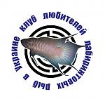 ������� �������� 2