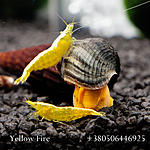 IMG 7570