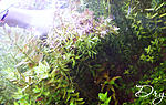 DSC04492