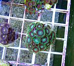 ������11