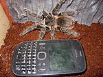 DSCN1475
