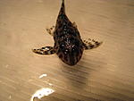 IMG 0017
