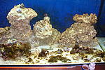 DSC01906