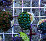 ������13