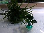 DSCF4279