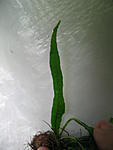 IMG 3643