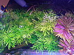 IMG 20131020 185749