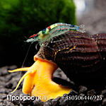IMG 7699