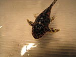 IMG 0011