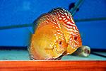 DSC 0008000
