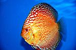 DSC 0009000
