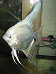 IMG 1119
