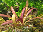 IMG 3680
