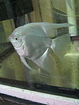IMG 1169