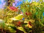 IMG 20131121 114415