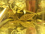 20131009 191454