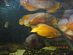 IMG 3882