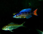 P1050226