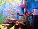 IMG 20131121 113508