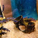 IMG 20131128 200908