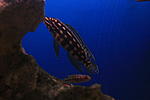 IMG 9579