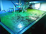IMG 20131203 095537
