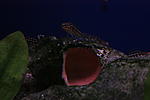 IMG 9527