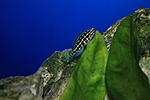 IMG 9532