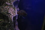 IMG 9626