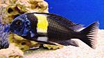DSC00507
