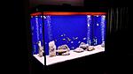 DSC00301